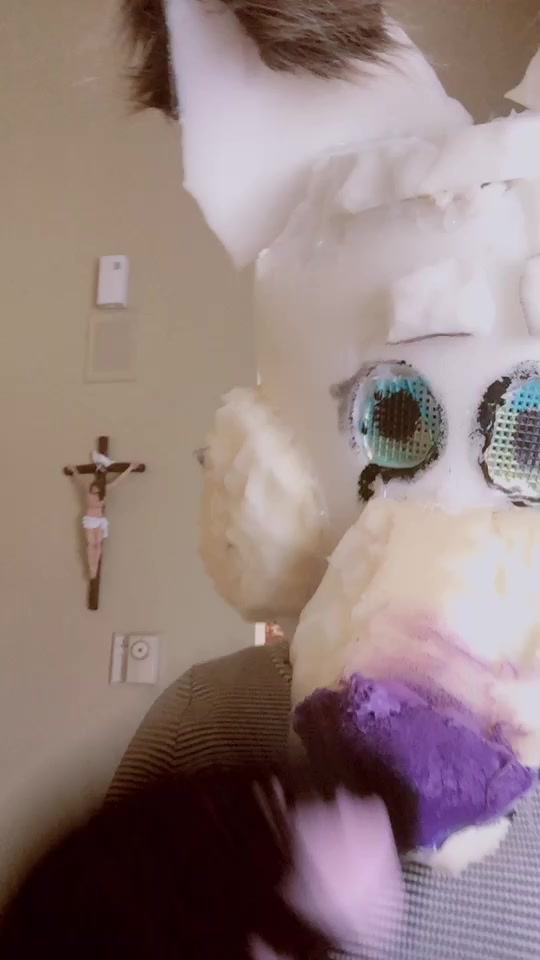 @TheFloofyKitsune