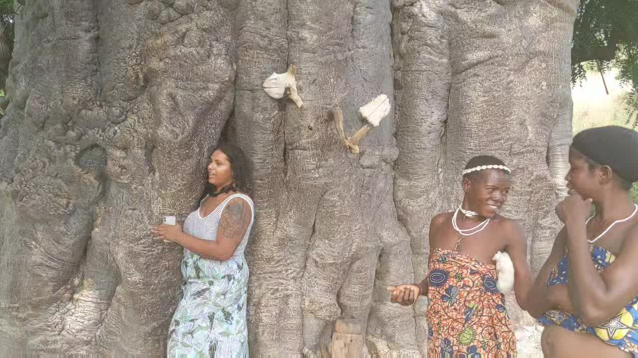 @Africa Trips