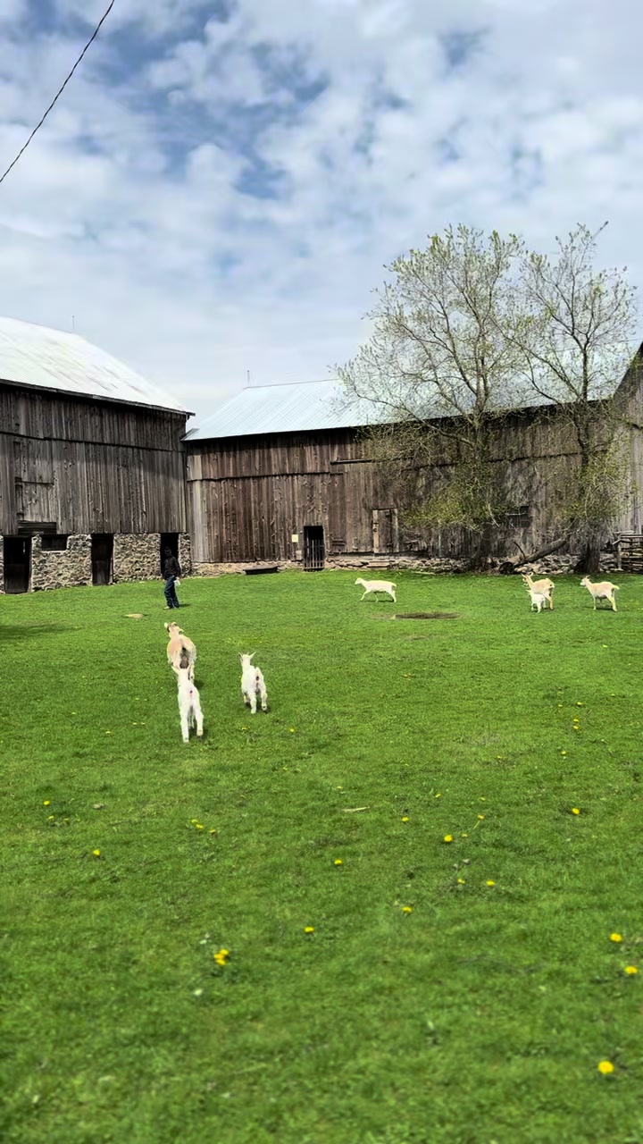 @Brad | Rusty Jade Ranch
