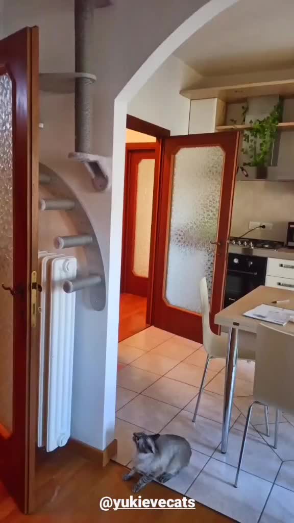 @Giuliaanxiety