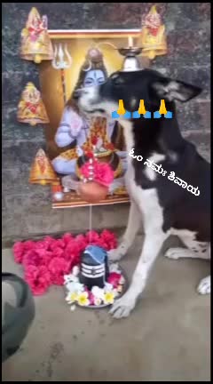 @😍Nethra.💞venki. 😍
