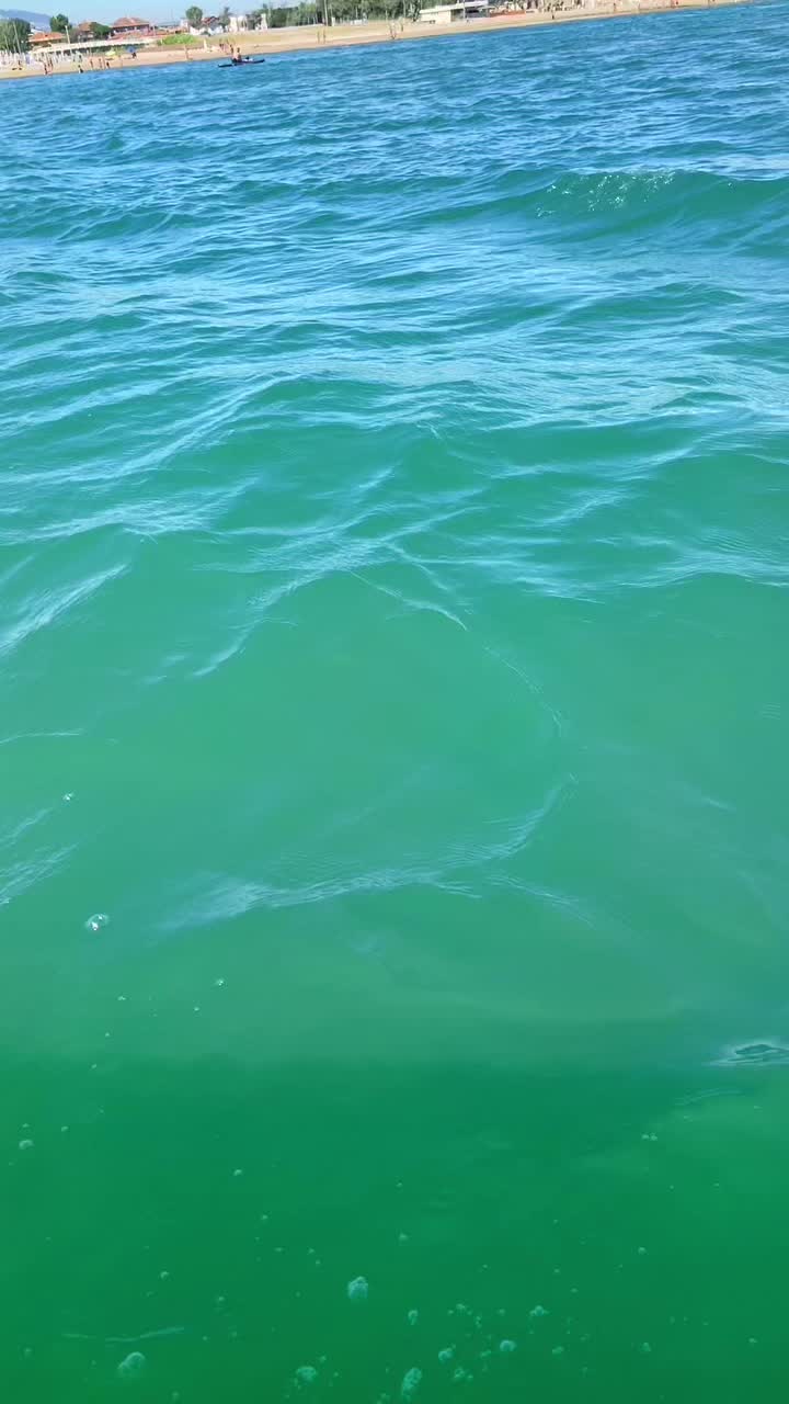 @lorenzo.cattani