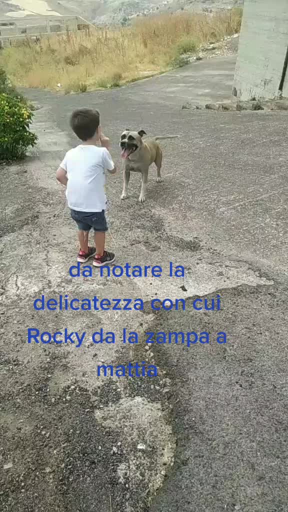 @Giusilenia crea