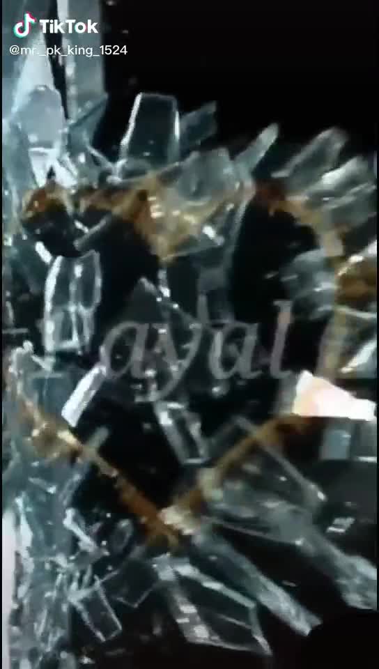 @payl.v