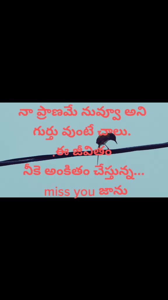 @Rj@mNu