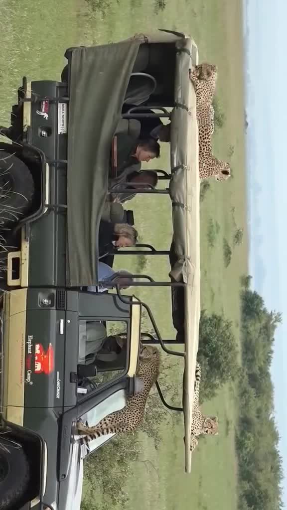 @nagarjuna nani