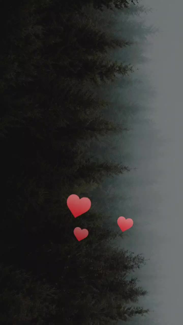 @user1469375992560
