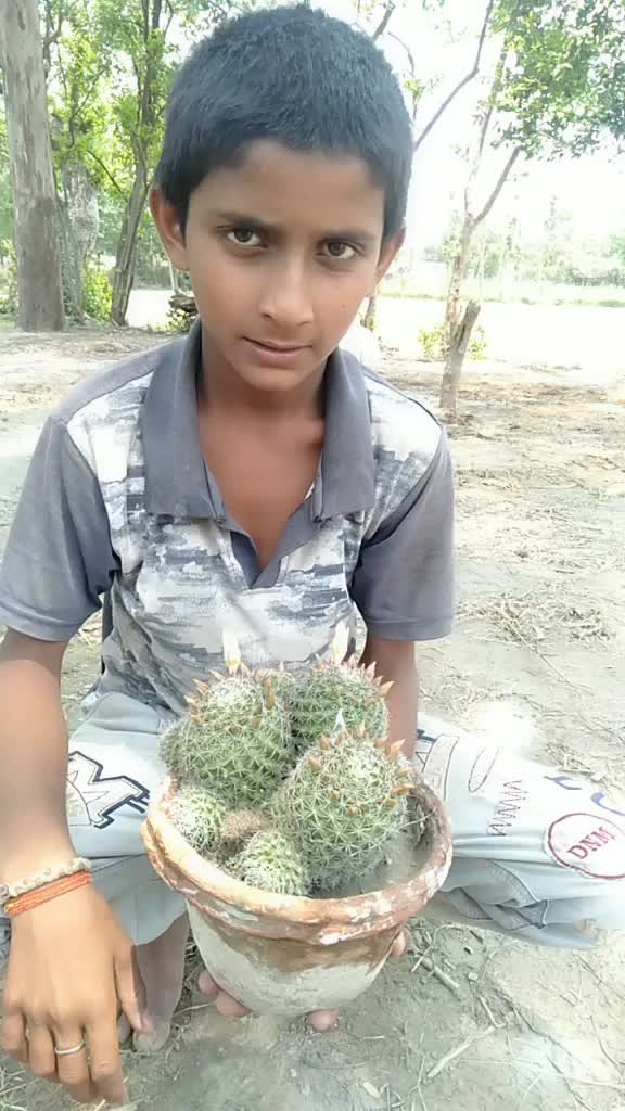 @user7187155500753