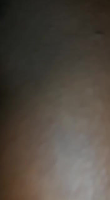 @user7231184434728
