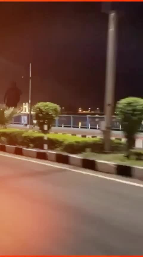 @_sherni_🦁
