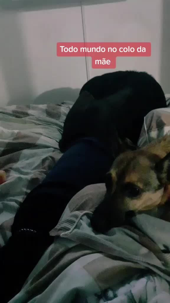 @gurias de apartamento pet🐶