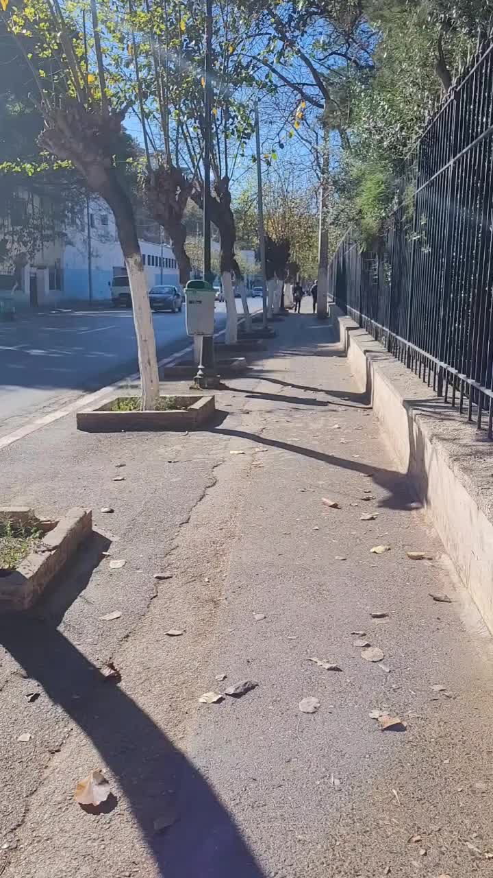 @go&eacute;land.dz