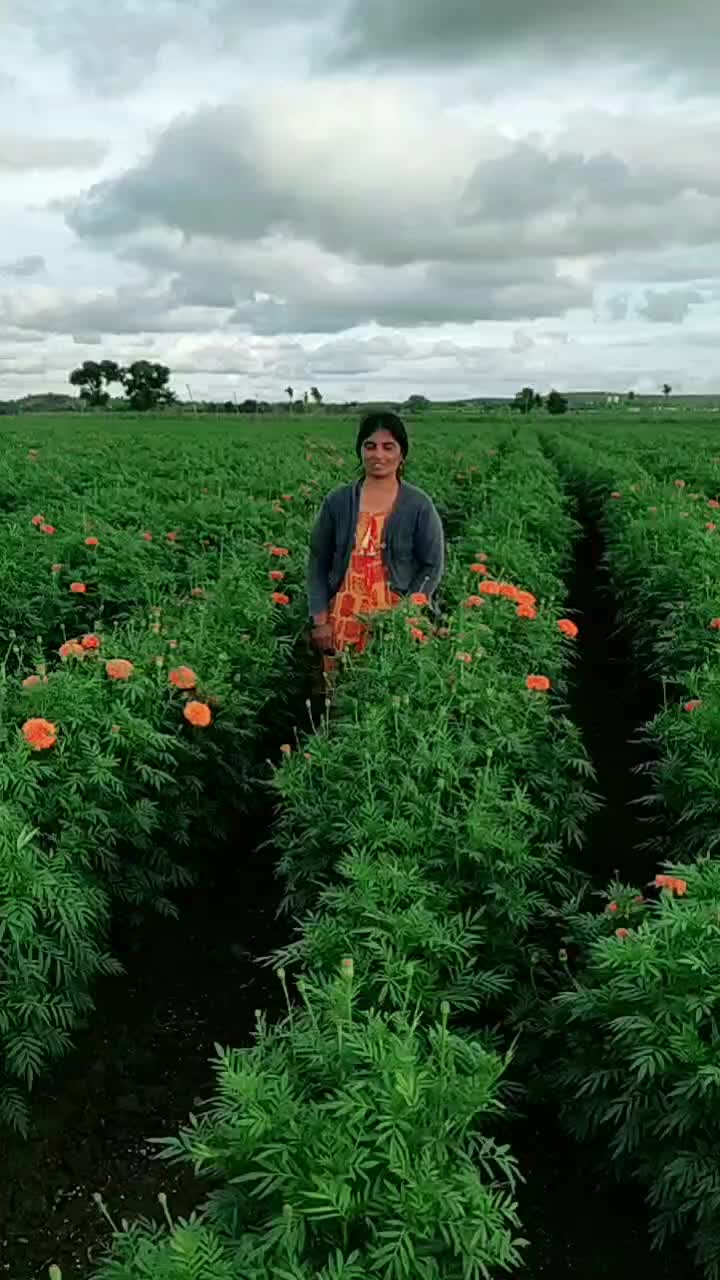 @Rani.Gowda
