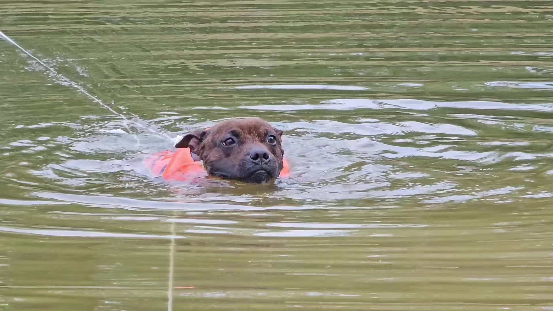 @RedCreekKennels