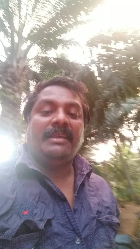@user2095416319141