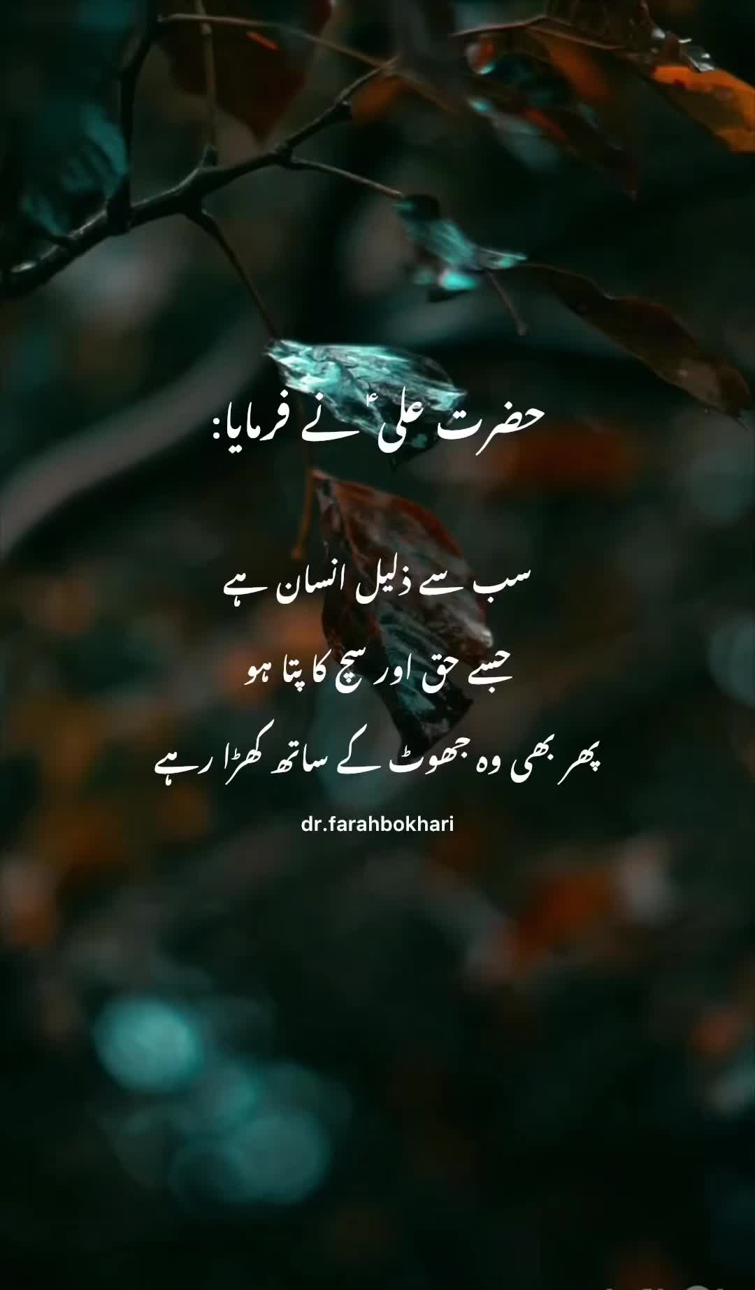 @dr.farahbokhari