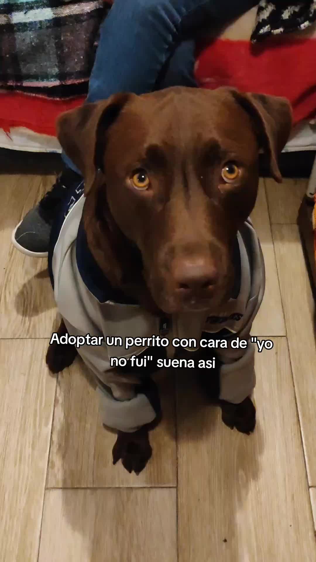 @Itzel Arrieta