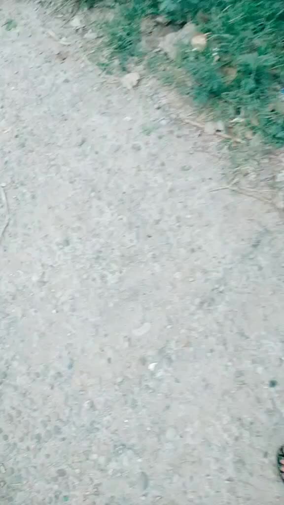 @AARTI SHARMA 1617