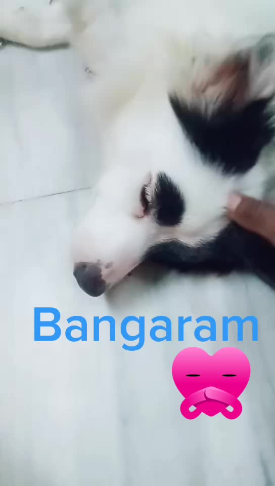 @user73572859523