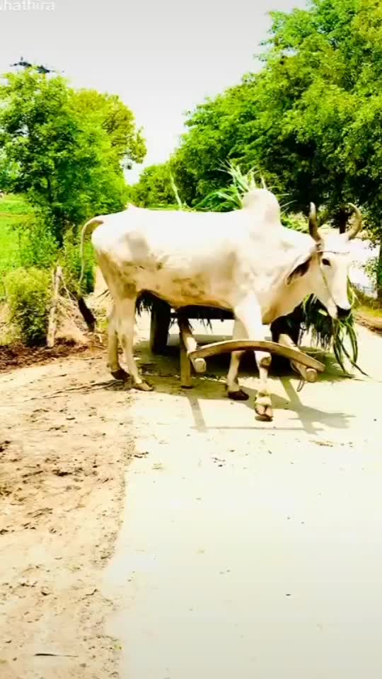 @❤ Ravi 💟 Madhu❤