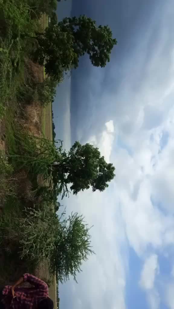 @Abhi Bhimani