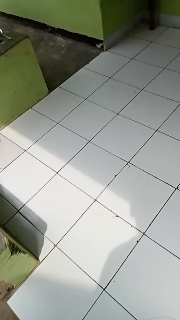 @aditiasaputra7095