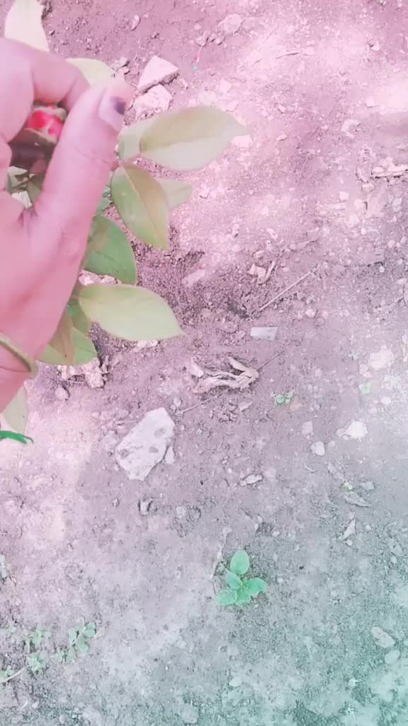 @priyapraneshuser8313