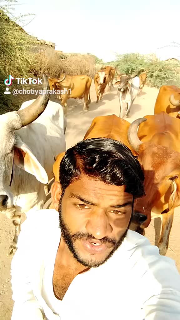@💖 Prakash bharvad💖