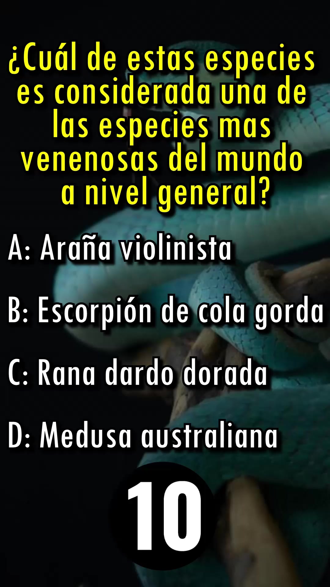 @Leguna Mental Oficial