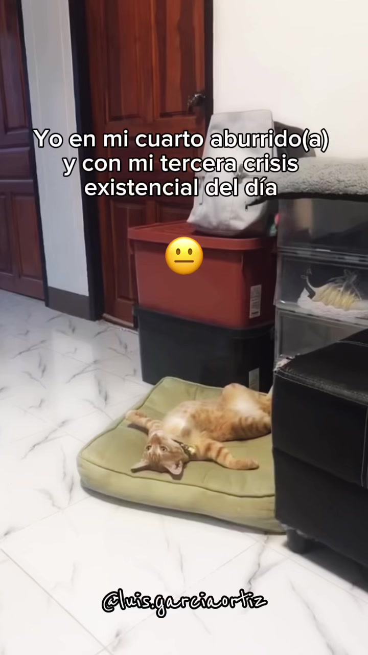 @Luis Garcia Ortiz