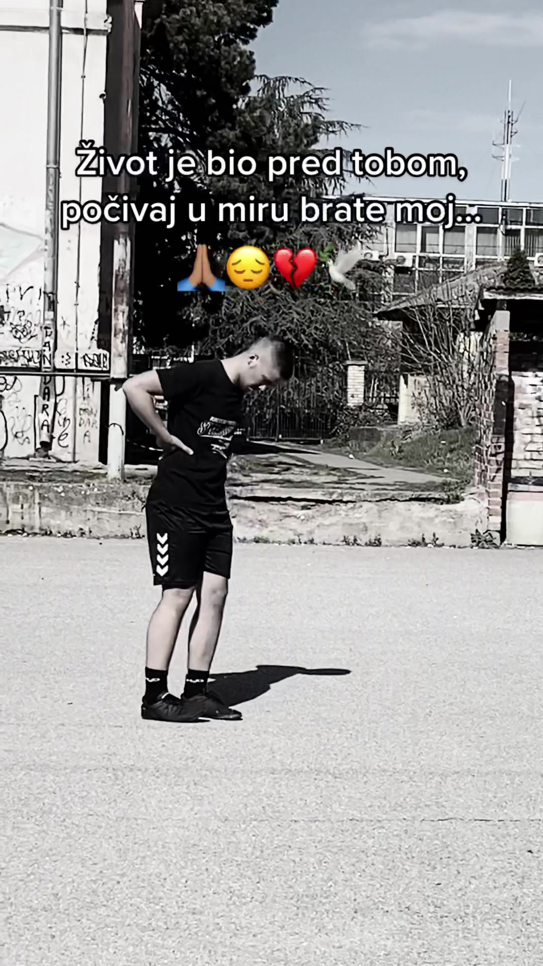 @Luka Trajković🔮