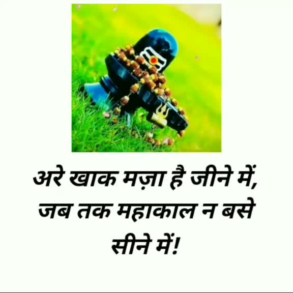 @Rima Kumari Yadav🧚