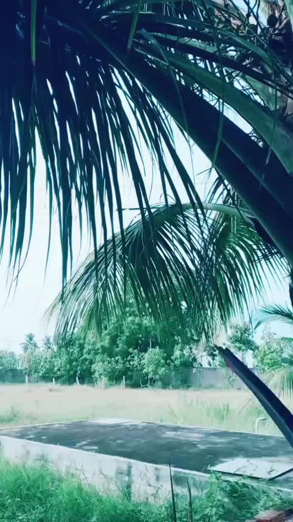 @Santhosh Kumar