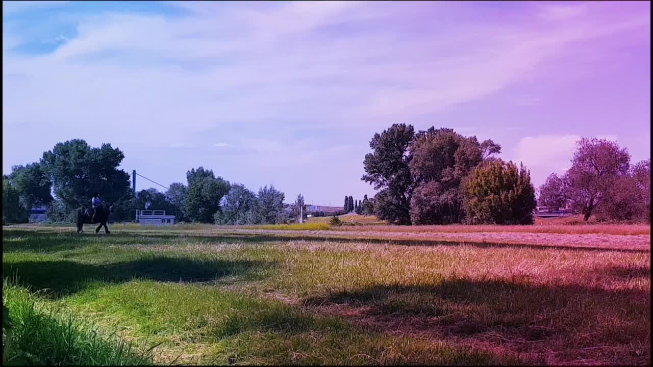 @Sarah - Sarlex