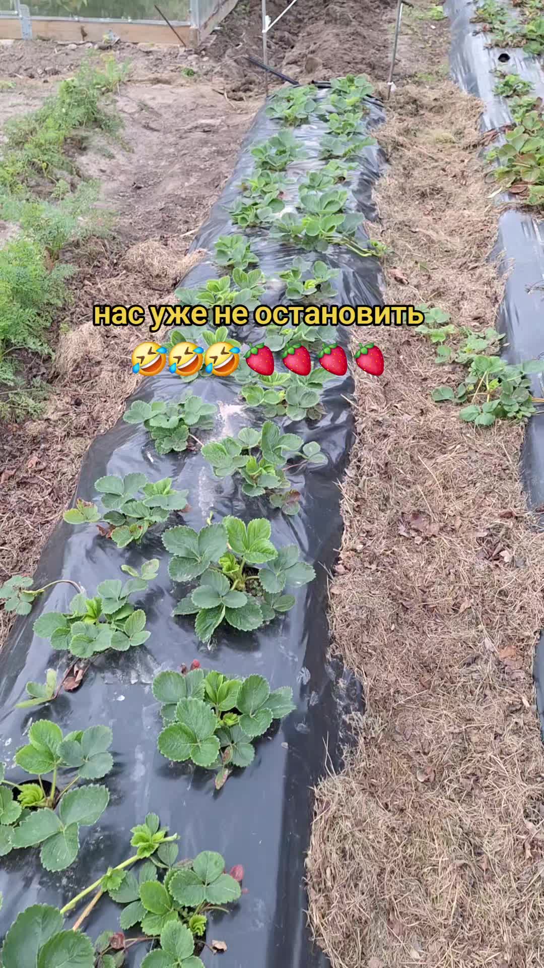 @Zhanna