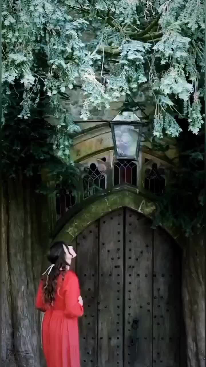 @Bäng Bäng