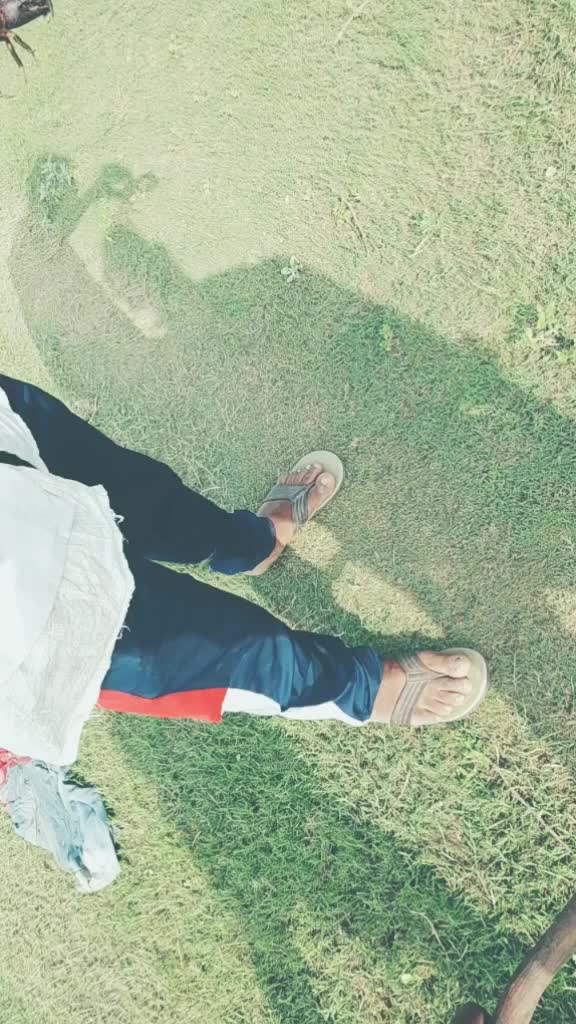 @user23434591779