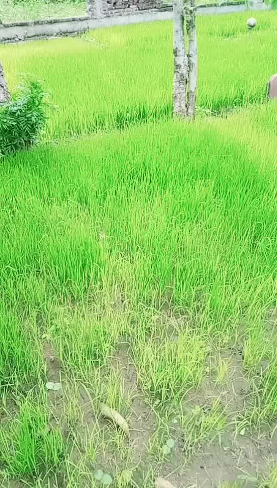 @Jaanvi kushwaha