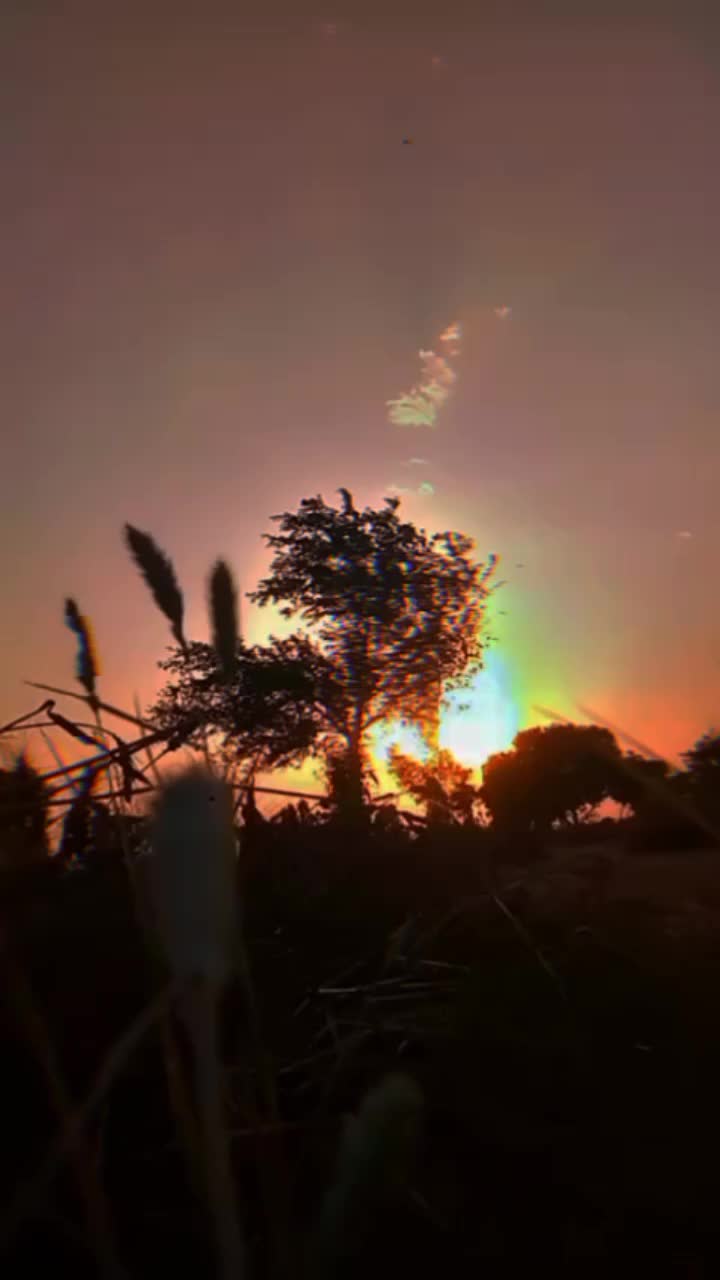@𝓗𝓮𝓪𝓻𝓵𝓮𝓼𝓼 💔