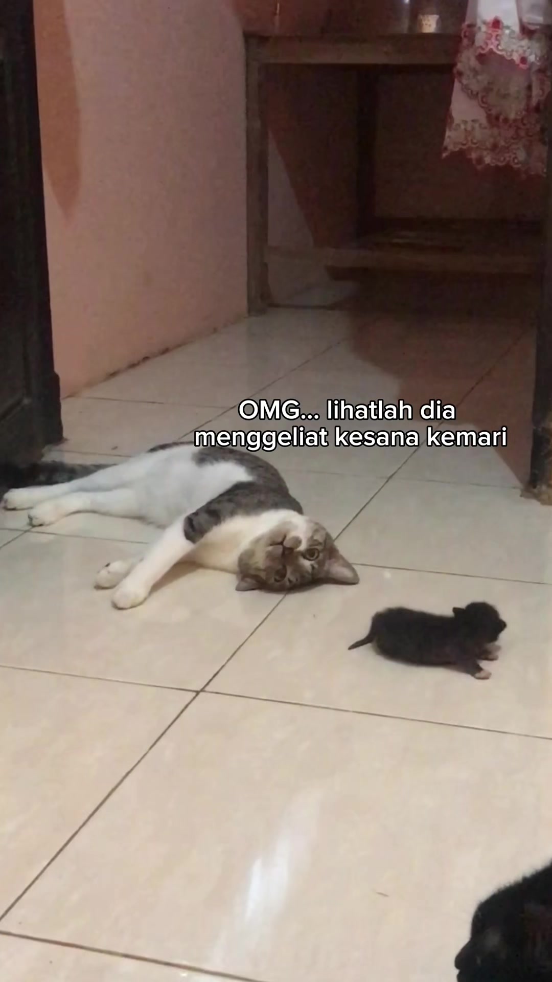 @three_muscateers