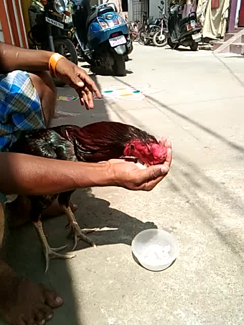 @sarathi