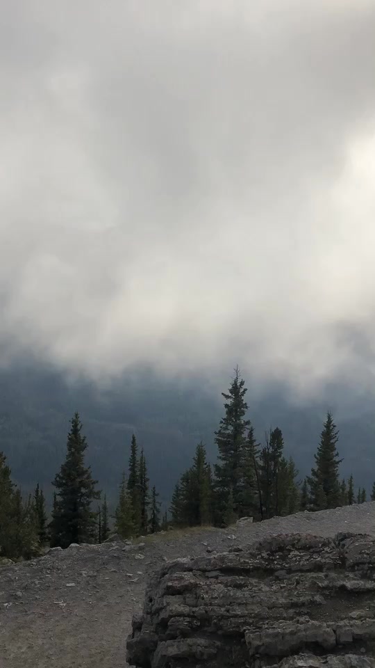 @Fariha