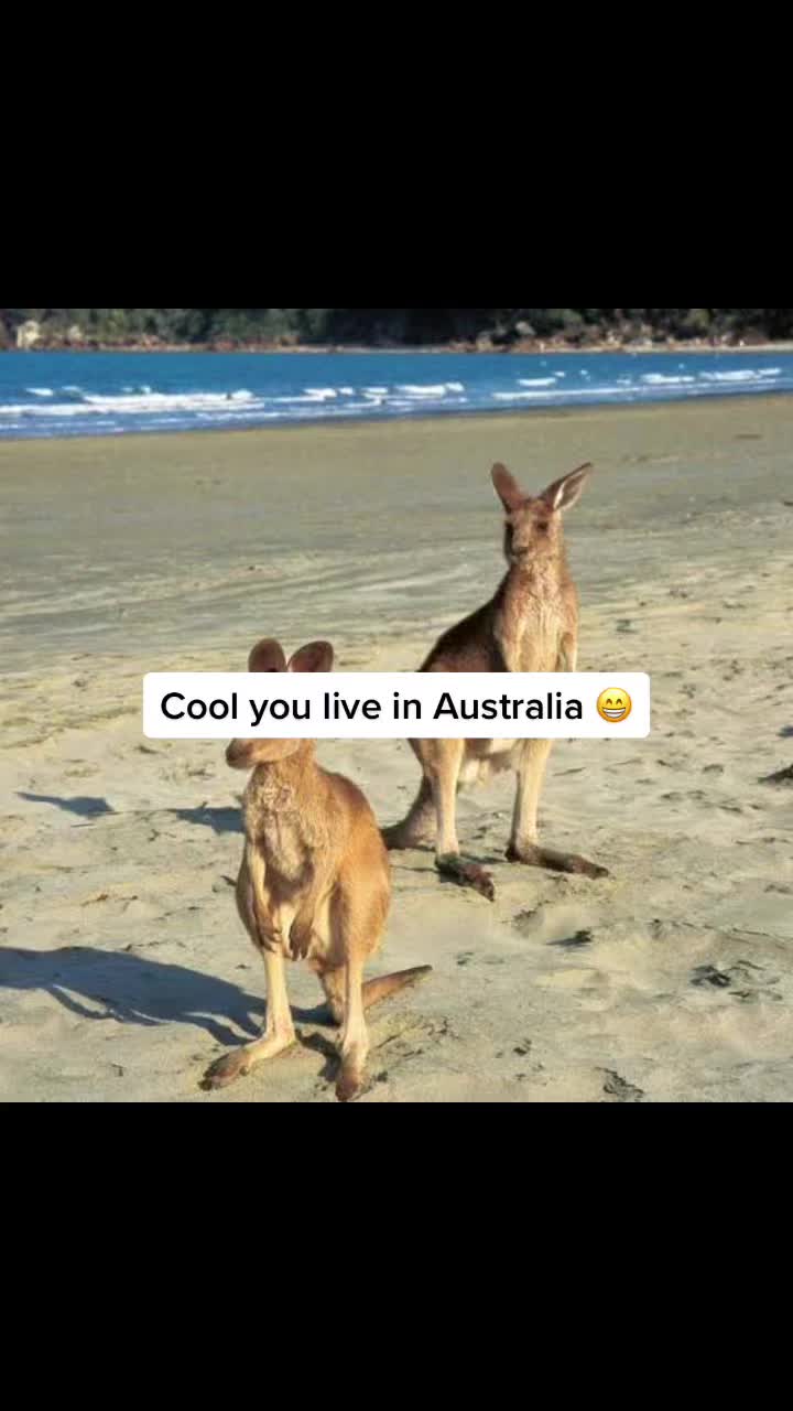@Aussie
