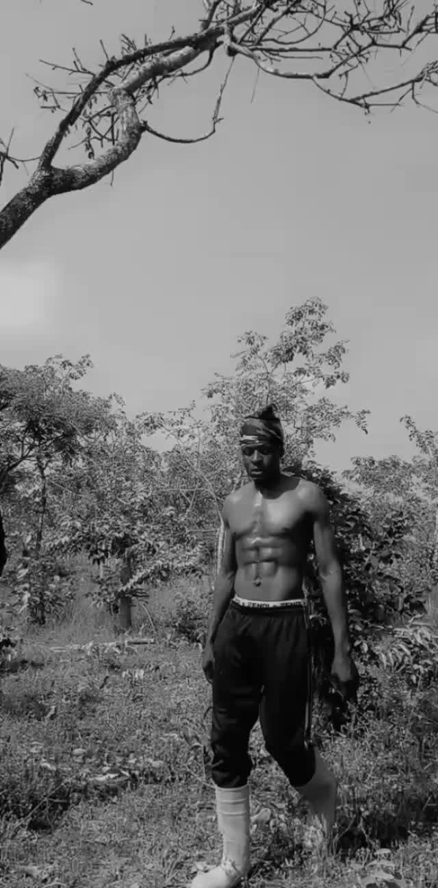 @roysailboi