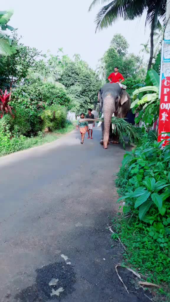 @Harikrishna