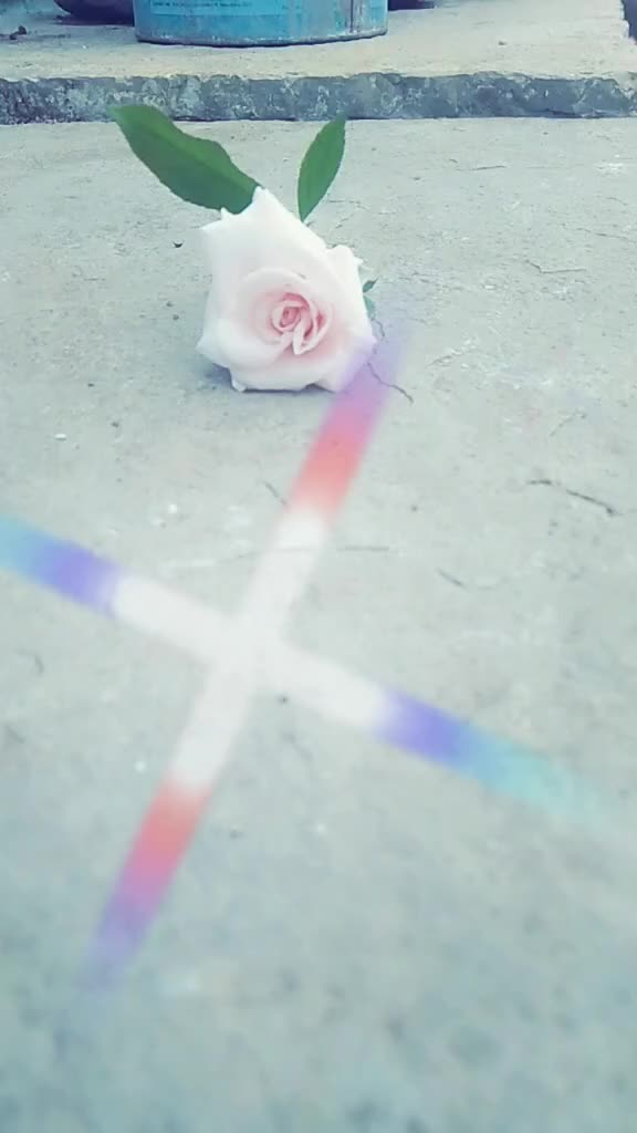 @abdulrazaqmbl5300