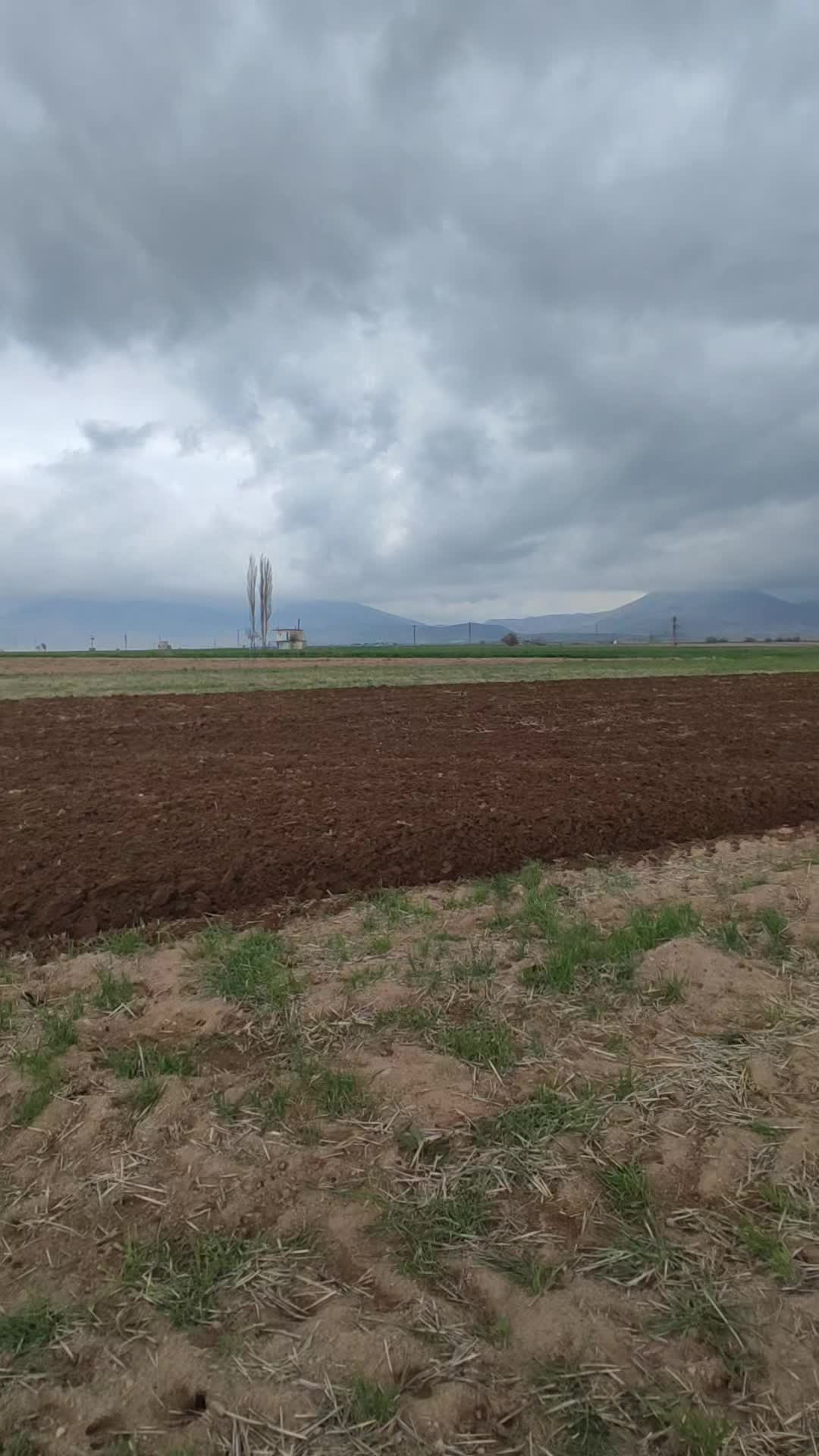 @Oğuzhan Özmen