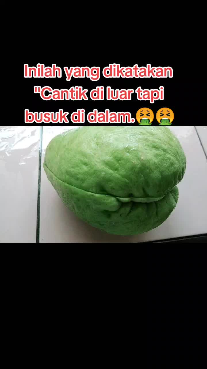 @zoezach
