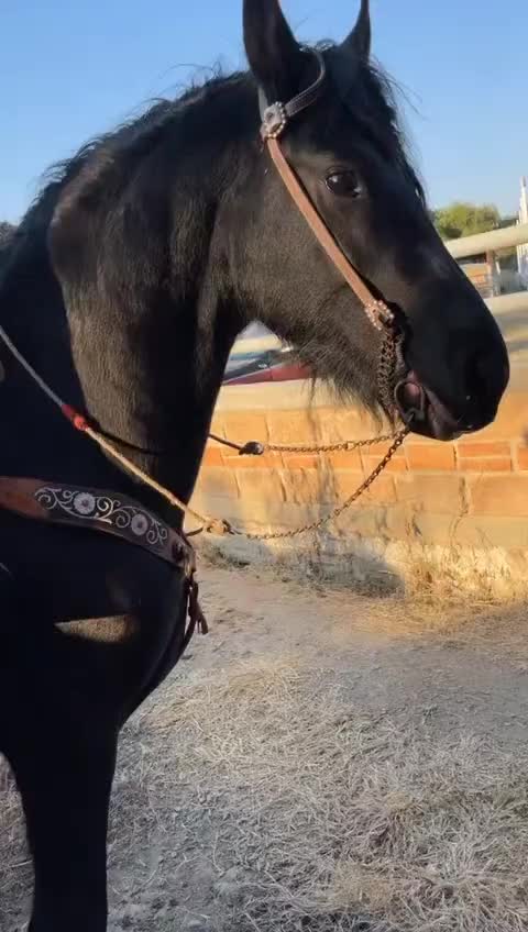 @Gus de la Cruz