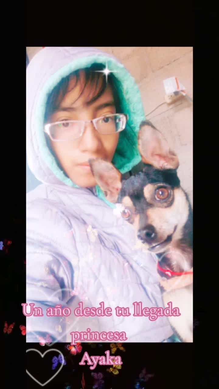 @🌹Kasümî_🖤💖